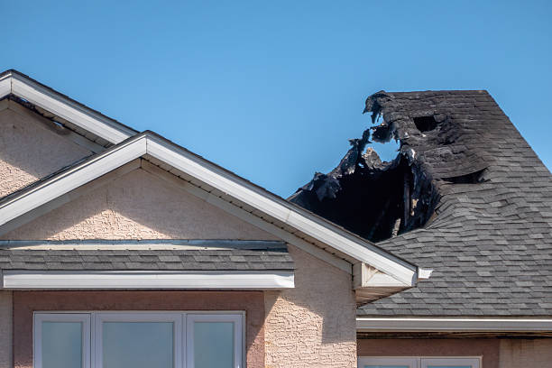 Top rated local Odor Removal specialists in Waverly, MN
